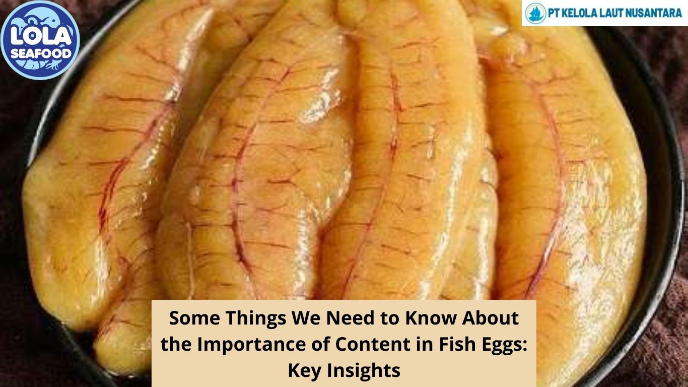 Some Things We Need to Know About the Importance of Content in Fish Eggs: Key Insights